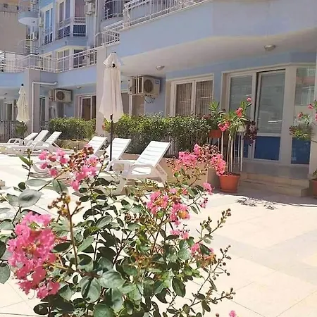 Apartment Family In Sunny Dream